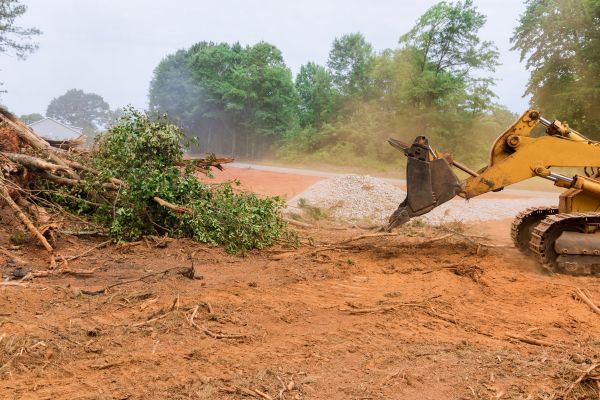 Cost of Ground Clearing in North Augusta