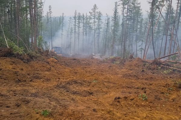 Cost of Hill Clearing in North Augusta