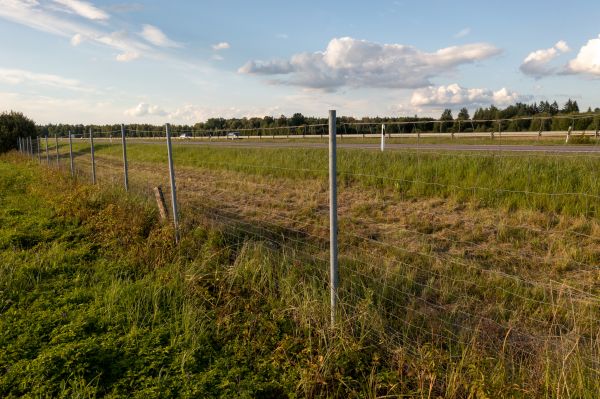 Cost of Property Line Clearing in North Augusta