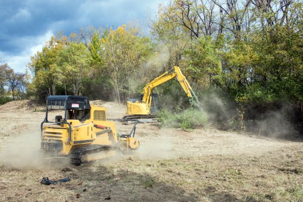 Cost of Terrain Clearing in North Augusta